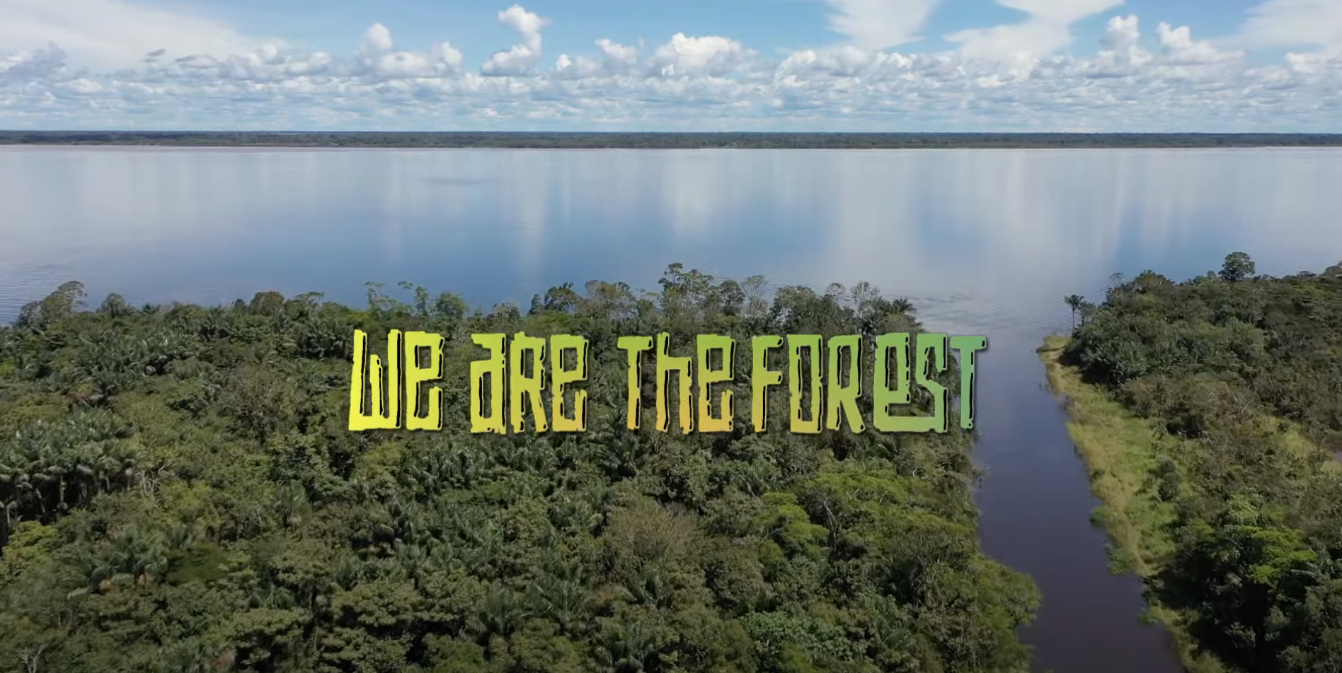 We Are The Forest